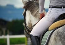 Pembrokeshire horse riding charges debate sees councillors backing full cost recovery