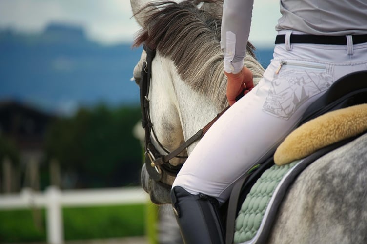 Across the UK, businesses that hire out horses for riding or provide riding instruction for payment are required to hold a licence under the Riding Establishments Act 1964.