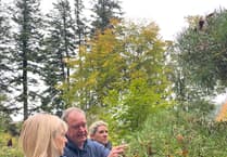 Sample Aberglasney’s new gin with garden botanicals at winter fair, December 5-7