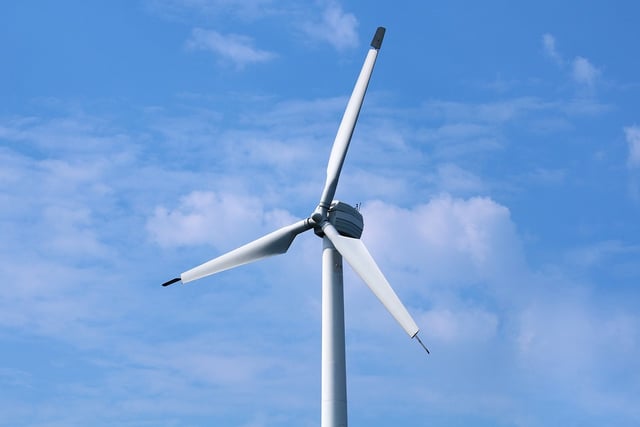 Bat concerns delay Sageston turbine plan