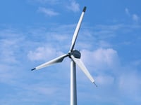 Bat concerns delay Sageston turbine plan