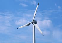 Fears over bat impact delay Sageston wind turbine plan