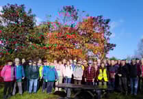 Steps2Health overcomes November challenges and enjoys walking together