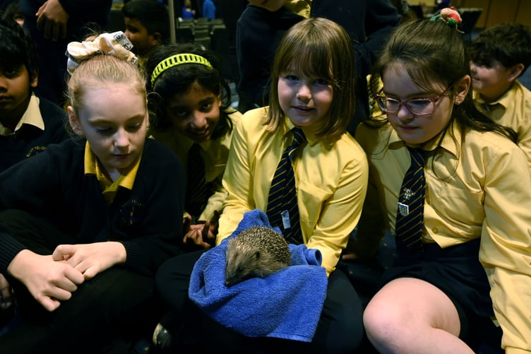 St Teilo's pupils with a rescued hedgehog
