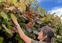 New horticulture students join Aberglasney Gardens