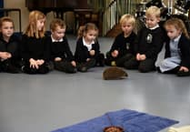 Dragon Darwin Experience marks 20 years with return to Roch School