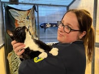RSPCA heroes working over Christmas to save abandoned animals in Wales
