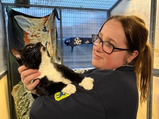 RSPCA heroes working over Christmas to save abandoned animals in Wales