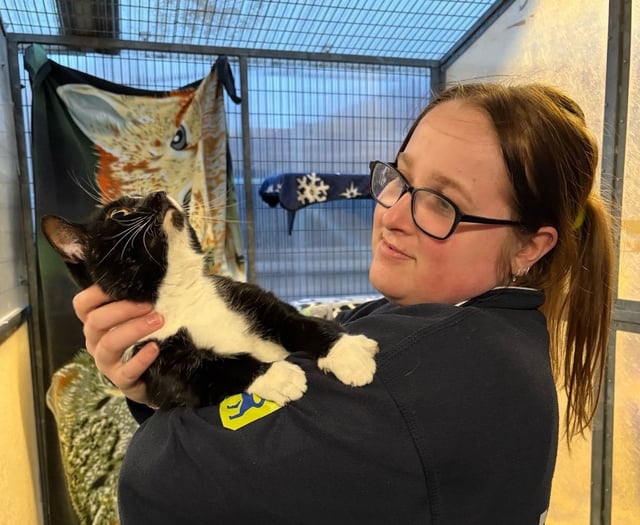 RSPCA heroes working over Christmas to save abandoned animals in Wales