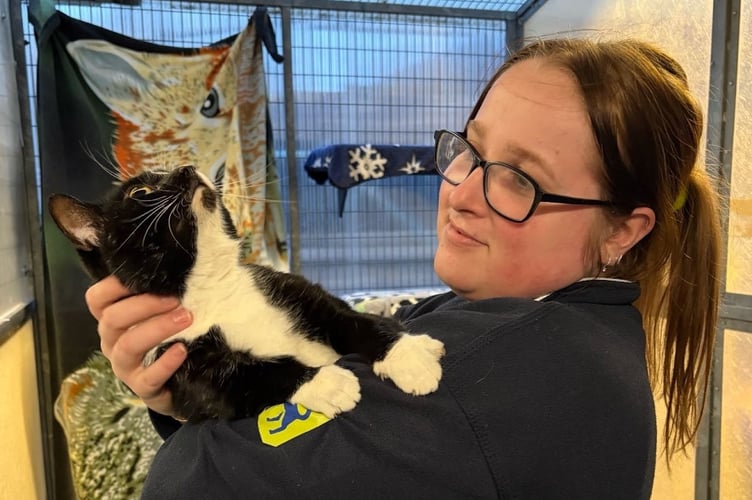 RSPCA Animal Rescue Officer Ethan Griffin, 20, from Swansea, will be working on Christmas Eve. (pictured with Marley who is at Llys Nini in Penllegaer, Swansea, and is looking for a home)