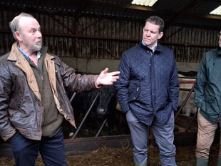 Wales farmers encouraged to seek climate grants
