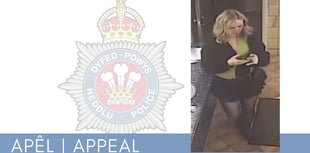 Police seek witness in Saundersfoot rape case