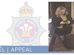 Police seek witness in Saundersfoot rape case