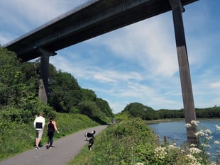 Westfield Pill bridge repairs begin January 2026