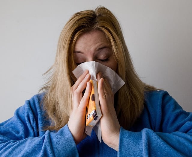 Welsh Government urged to convene emergency flu response