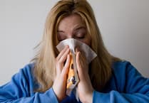 Welsh Government urged to convene emergency flu response