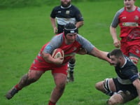 Pembroke Harlequins thrash rivals 34-0