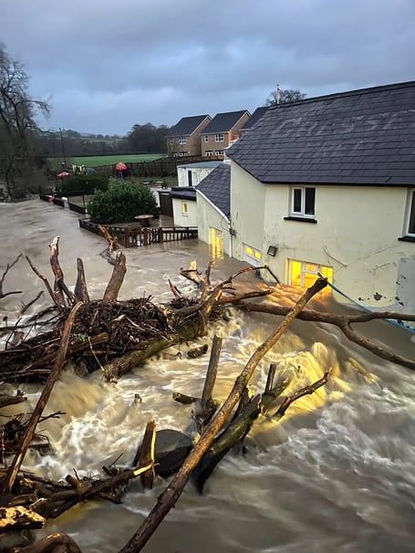 Logs, debris and a raging River Cothi by The Cresselly Arms, Pontargothi (pic Claire Gooding and free for use for wire partners)