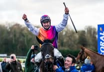 Sean & James Bowen's career earnings revealed ahead of the Cheltenham Festival
