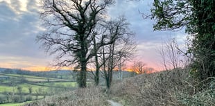 Narberth Town Council's 'biodiversity' report published