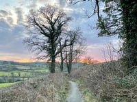 Narberth Town Council's 'biodiversity' report published