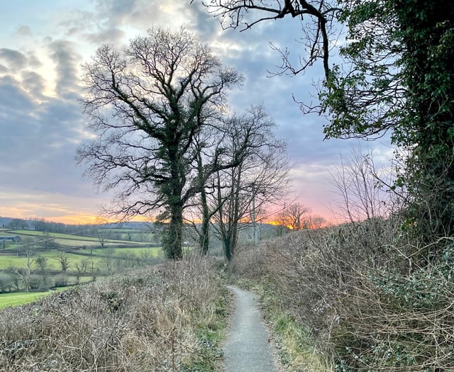 Narberth Town Council's 'biodiversity' report published