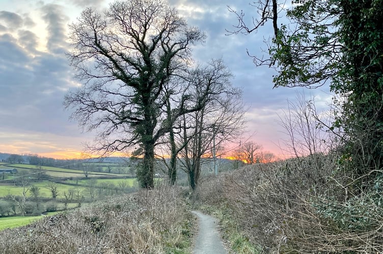 Narberth Town Council's 'biodiversity' report published