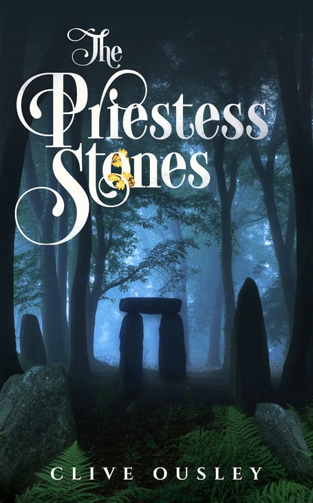 Front cover of The Priestess Stones