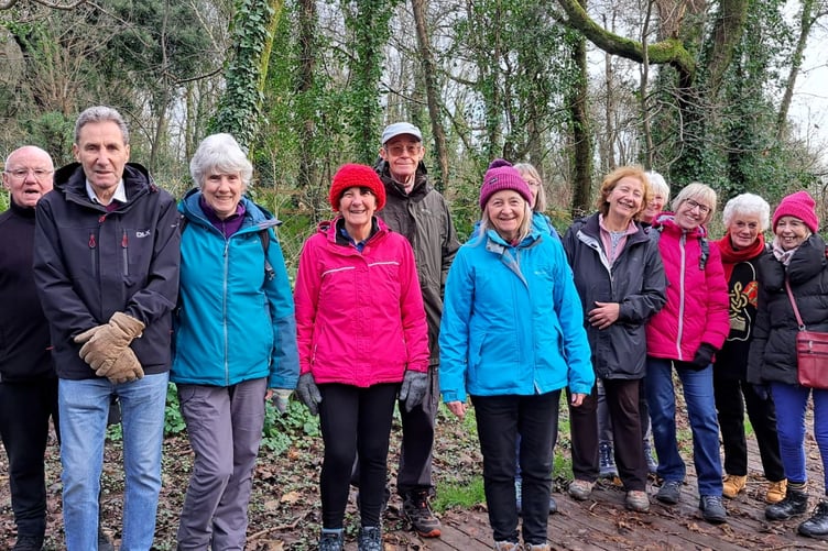 Speedies dodging the puddles in Holyland Woods, Pembroke