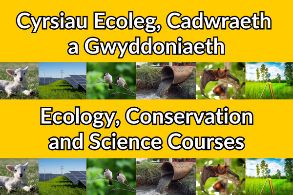 Ecology, Conservation and Science Courses