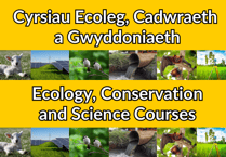 Ecology, Conservation and Science courses