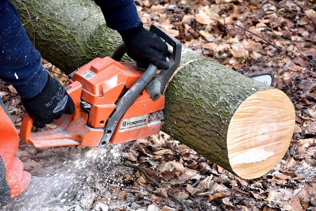 Road closure for two-day tree cutting