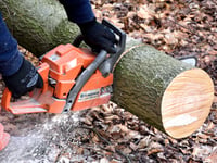 Road closure for two-day tree cutting