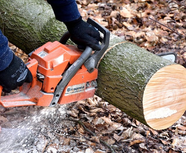 Road closure for two-day tree cutting