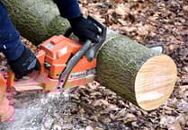 Road closure for tree cutting scheduled two-day disruption