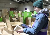 £2.1m support to help Welsh businesses adopt AI