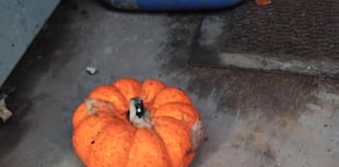 Whitland toilets targeted by vandals, costing £600