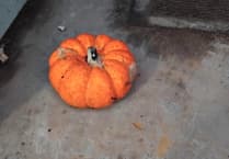 Vandalism plagues Whitland toilets, costing Town Council £600 per incident