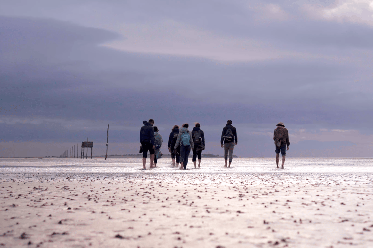 Saundersfoot’s St Anthony Communications premieres their documentary 'The Way of St Cuthbert' on EWTN this weekend, exploring the historic pilgrimage from Melrose to Lindisfarne.