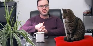 Pembrokeshire Council's plan to sell empty homes