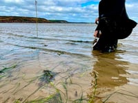 Pembrokeshire fishers and seagrass conservation