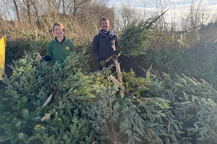Pictured here is Alex Rudman, our Membership Manager with one of the Folly Team receiving the trees this past week that were used all around Saundersfoot village throughout December!