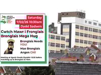 Speak up for our hospitals - or else