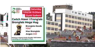 Speak up for our hospitals - or else