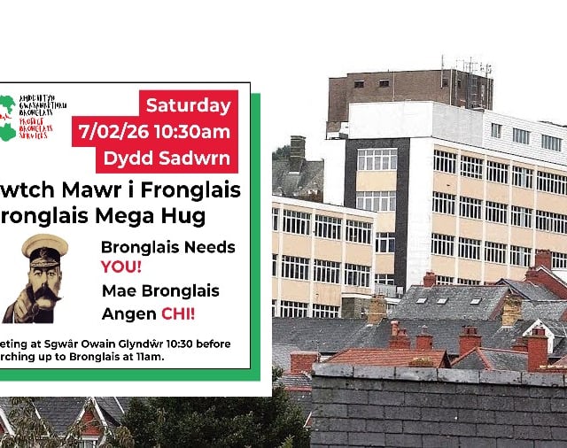 Speak up for our hospitals - or else