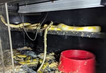 Pembrokeshire couple jailed for animal cruelty after 52 animals found in squalor