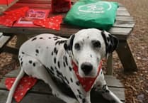 Join HeliPaws, Wales' lifesaving Dog Walk for Air Ambulance