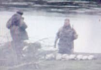 Illegal geese shooting in Carmarthenshire under investigation by police