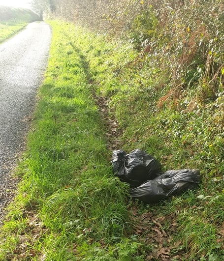 A further fly-tipping incident was reported in Sardis, where waste had been dumped in a remote location. 