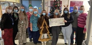Children raise £630 for Glangwili Hospital